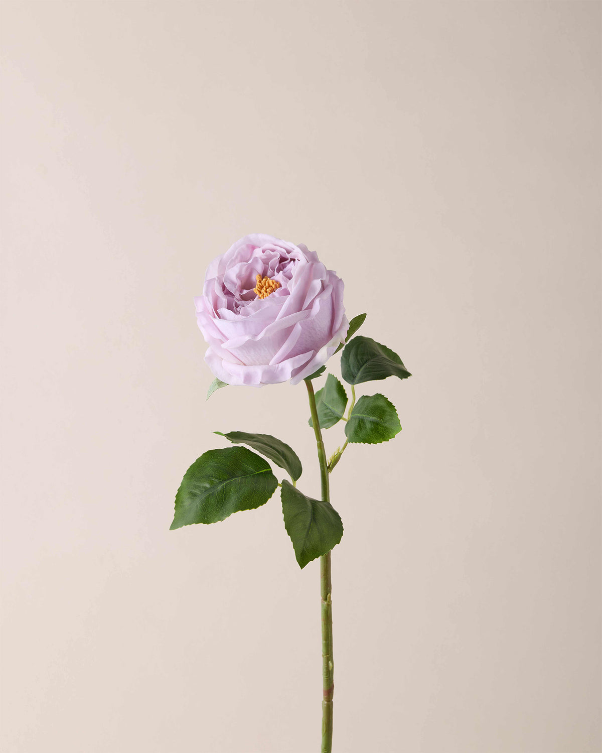 MoSchein Light purple Austin rose single stem artificial flower